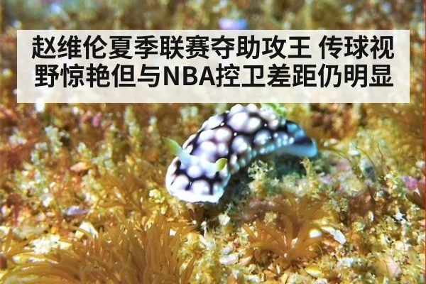 赵维伦夏季联赛夺助攻王 传球视野惊艳但与NBA控卫差距仍明显