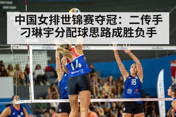 women's volleyball match