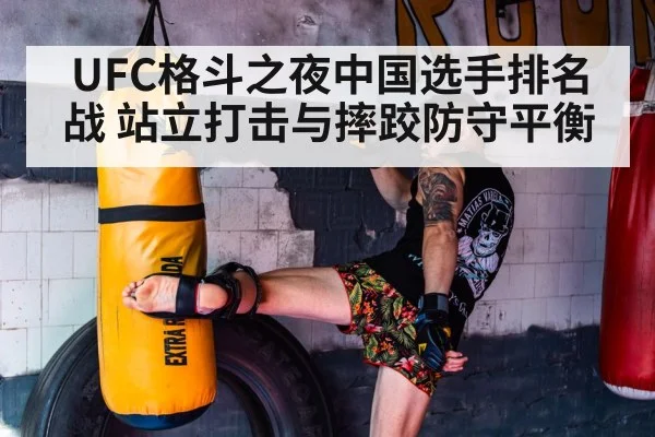 UFC格斗之夜中国选手排名战 站立打击与摔跤防守平衡