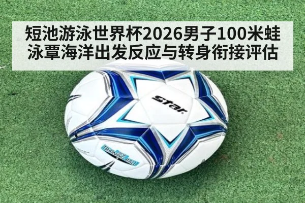 短池游泳世界杯2026男子100米蛙泳覃海洋出发反应与转身衔接评估