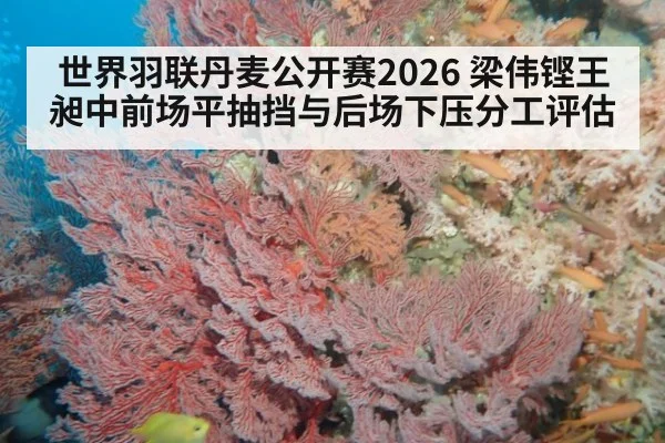 世界羽联丹麦公开赛2026 梁伟铿王昶中前场平抽挡与后场下压分工评估